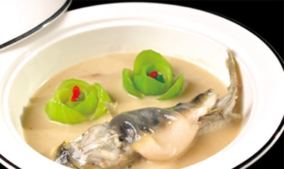 鲃魚
