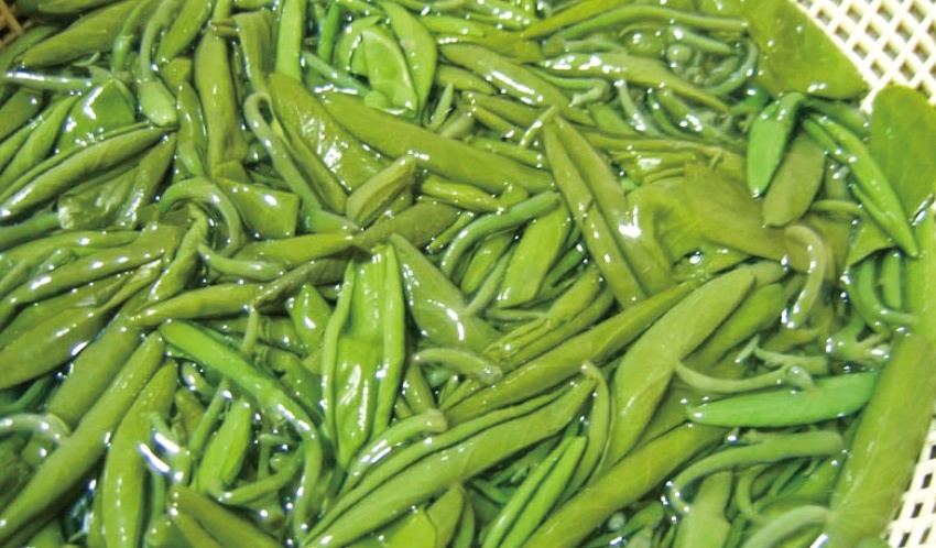 莼菜