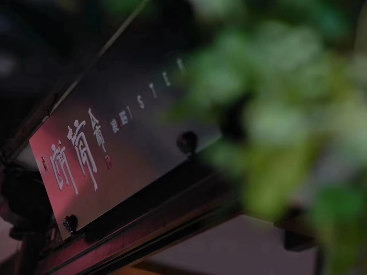 煮葉·淩聽