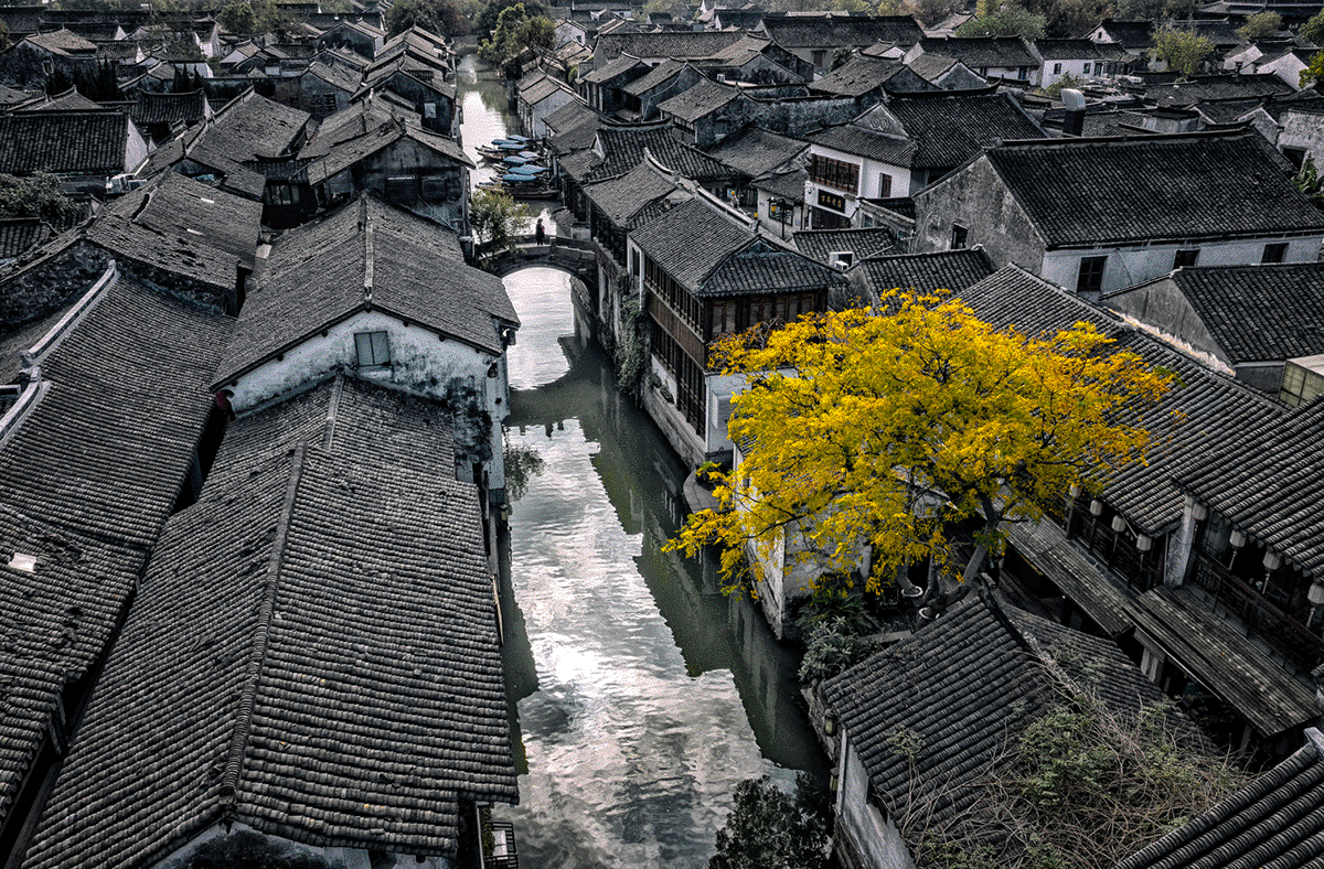 建(jian)築